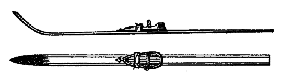 Front and side view of a ski