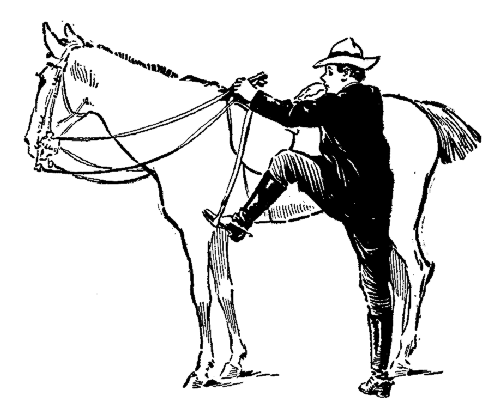 The wrong way to mount a horsefacing forward