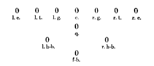 Diagram of football lineup