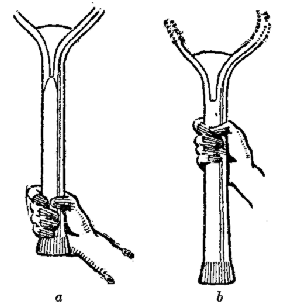 (a) the right and (b) the wrong way to hold a tennis
racket