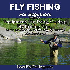 Fly Fishing for Beginners