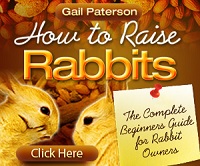 raising rabbits