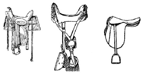 Mexican saddle, Army saddle, English saddle