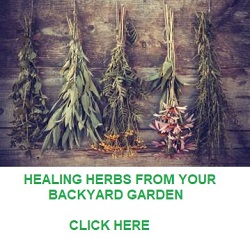 Grow your own medicinal herbs.