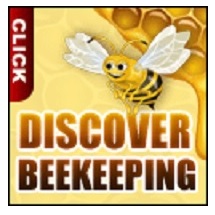 Discover Beekeeping - Beekeeping Made Easy