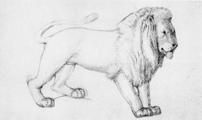 VII.Preliminary
Drawing of a Lion for Carving. By Phillip Webb.